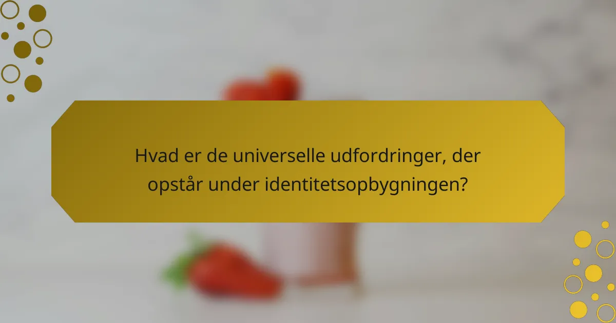 Hvad er de universelle udfordringer, der opstår under identitetsopbygningen?